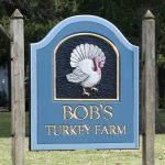 Talking Turkey and Giving Thanks: Bob's Turkey Farm 