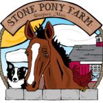 Talking Turkey and Giving Thanks: Stone Pony Farm